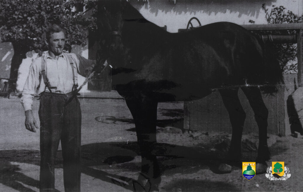 Cím nélkül - Csobánkai Helytörténeti Gyűjtemény